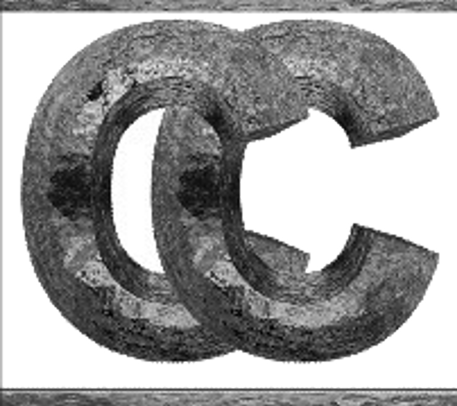 imageedit_1_4323792893.png